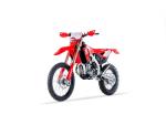 Klikněte pro detailní foto č. 3 - Honda RedMoto CRF 450 RX | Enduro s TP 2025