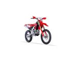 Klikněte pro detailní foto č. 2 - Honda RedMoto CRF 300 RX | Enduro s TP 2025