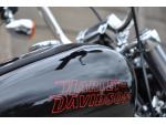 Klikněte pro detailní foto č. 4 - Harley-Davidson FXST Softail Standard