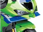 Klikněte pro detailní foto č. 11 - Kawasaki ZX-10R Ninja
