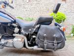 Klikněte pro detailní foto č. 9 - Harley-Davidson FLSTS Heritage Springer
