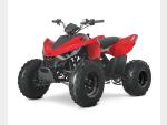 Detail nabídky - Linhai ATV 110 2X4 EFI CE Detail nabídky - Linhai ATV 110 2X4 EFI CE