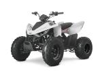 Klikněte pro detailní foto č. 4 - Linhai ATV 110 2X4 EFI CE