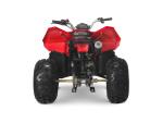Klikněte pro detailní foto č. 6 - Linhai ATV 110 2X4 EFI CE