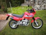 Klikněte pro detailní foto č. 1 - Honda NX 650 Dominator (2001) najeto 1311km, po servisu, CZ doklady