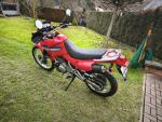 Klikněte pro detailní foto č. 6 - Honda NX 650 Dominator (2001) najeto 1311km, po servisu, CZ doklady