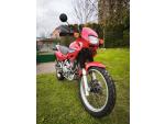 Klikněte pro detailní foto č. 7 - Honda NX 650 Dominator (2001) najeto 1311km, po servisu, CZ doklady