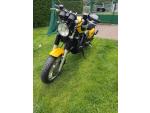 Klikněte pro detailní foto č. 9 - Triumph Thunderbird Sport (1999) po servisu