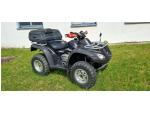Klikněte pro detailní foto č. 4 - Honda TRX 650 RINCON