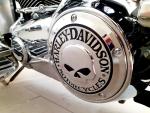 Klikněte pro detailní foto č. 8 - Harley-Davidson FLSTF Fat Boy