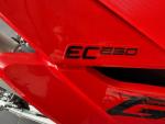 Klikněte pro detailní foto č. 3 - Gas Gas EC 250