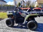 Klikněte pro detailní foto č. 13 - Loncin XWolf 300i