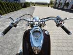 Klikněte pro detailní foto č. 11 - Yamaha XV 1600 A Wild Star