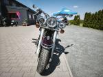 Klikněte pro detailní foto č. 6 - Yamaha XV 1600 A Wild Star