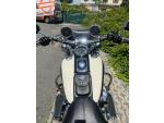 Klikněte pro detailní foto č. 9 - Harley-Davidson FLSTN Softail Deluxe