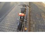 Klikněte pro detailní foto č. 12 - YCF GP 187 2024