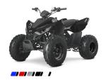 Klikněte pro detailní foto č. 2 - Linhai Dětská čtyřkolka Linhai ATV 110 2x4