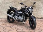 Klikněte pro detailní foto č. 2 - Suzuki GW 250 Inazuma