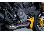 Klikněte pro detailní foto č. 10 - Ducati DUCATI MONSTER SENNA