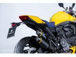 Klikněte pro detailní foto č. 13 - Ducati DUCATI MONSTER SENNA