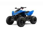 Klikněte pro detailní foto č. 1 - CFMOTO Gladiator X110 LE