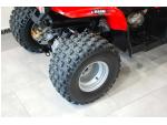 Klikněte pro detailní foto č. 11 - Polaris Phoenix 200