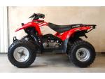 Klikněte pro detailní foto č. 12 - Polaris Phoenix 200