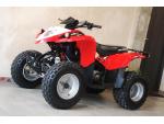 Klikněte pro detailní foto č. 13 - Polaris Phoenix 200