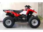 Detail nabídky - Polaris Phoenix 200