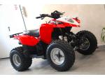 Klikněte pro detailní foto č. 2 - Polaris Phoenix 200