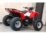Klikněte pro detailní foto č. 3 - Polaris Phoenix 200