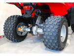 Klikněte pro detailní foto č. 4 - Polaris Phoenix 200