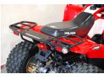 Klikněte pro detailní foto č. 5 - Polaris Phoenix 200