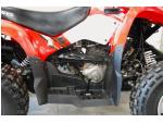 Klikněte pro detailní foto č. 6 - Polaris Phoenix 200