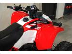Klikněte pro detailní foto č. 7 - Polaris Phoenix 200