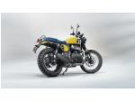 Klikněte pro detailní foto č. 7 - Royal Enfield Bear 650 - Wild Honey