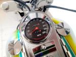 Klikněte pro detailní foto č. 11 - Harley-Davidson FLSTF Fat Boy