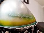 Klikněte pro detailní foto č. 12 - Harley-Davidson FLSTF Fat Boy