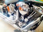 Klikněte pro detailní foto č. 5 - Harley-Davidson FLSTF Fat Boy