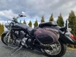 Klikněte pro detailní foto č. 12 - Yamaha XVS 1300 A Midnight Star