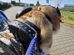 Klikněte pro detailní foto č. 9 - Suzuki VL 1500 Intruder LC