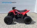 Klikněte pro detailní foto č. 5 - CFMOTO CFMOTO Gladiator X110 LE 