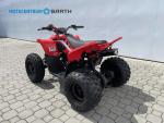 Klikněte pro detailní foto č. 6 - CFMOTO CFMOTO Gladiator X110 LE 