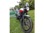 Klikněte pro detailní foto č. 7 - Triumph Scrambler 900 (2014) TOP,doplňky,po servisu,jen 20 tis.km