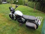 Klikněte pro detailní foto č. 3 - Triumph Scrambler 900 (2014) TOP,doplňky,po servisu,jen 20 tis.km