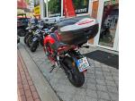 Klikněte pro detailní foto č. 5 - Benelli BN 251, nové pneu, kufr, boční nosiče, ČR, 2.majitel