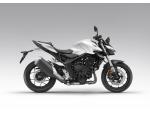 Klikněte pro detailní foto č. 1 - Honda CB 1000 Hornet