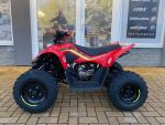 Klikněte pro detailní foto č. 1 - CFMOTO Gladiator X110 SKLADEM