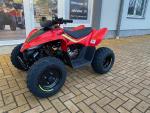 Klikněte pro detailní foto č. 2 - CFMOTO Gladiator X110 SKLADEM
