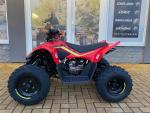 Klikněte pro detailní foto č. 8 - CFMOTO Gladiator X110 SKLADEM
